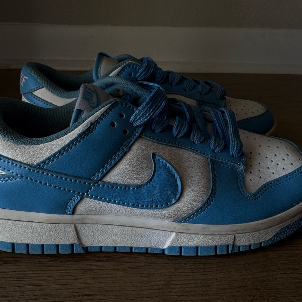 Nike DUNK LOW’S Blue and White Women's Sneakers